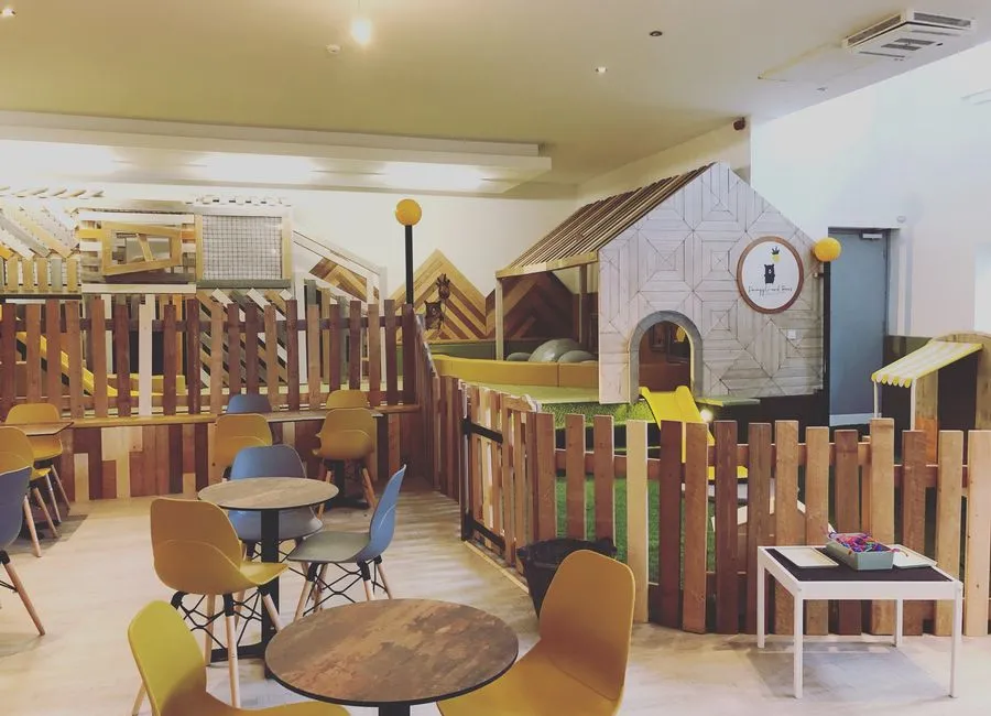 Photo of Pineapple & Bears Playhub